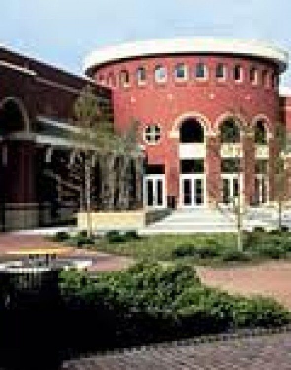 East carolina university admissions essay