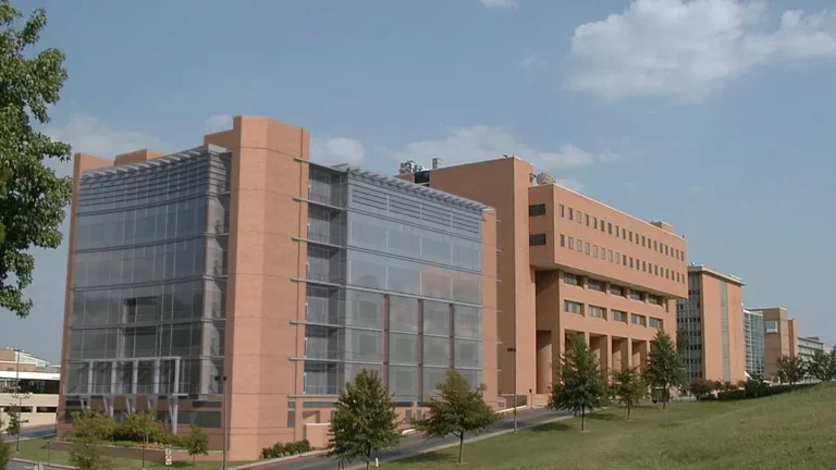 University of Arkansas Physician Assistant Program
