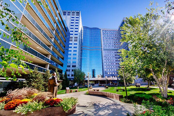 Mayo Clinic School of Health Sciences Physician Assistant Program