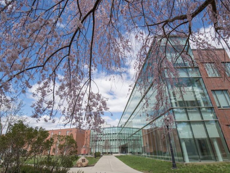 Westfield State University Physician Assistant Program