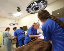 Loma Linda Pa Program >> Top 20 Cheapest PA Schools in the US | PA School Finder ... Loma Linda Pa Program >> Top 20 Cheapest PA Schools in the US | PA School Finder ...