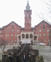 College of Mount Saint Vincent Physician Assistant Program