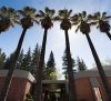 University of the Pacific Physician Assistant Program