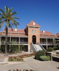 University of Arizona Physician Assistant Program