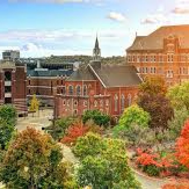 Duquesne University Physician Assistant Program
