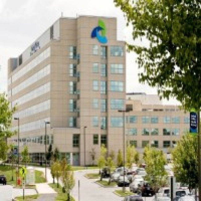 University of South Florida Physician Assistant Program