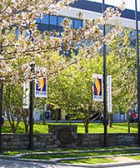 Philadelphia College of Osteopathic Medicine-Georgia Physician Assistant Program
