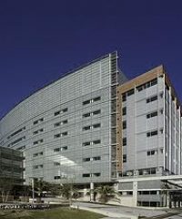 Medical University of South Carolina Physician Assistant Program