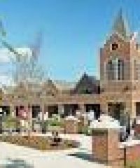 Mercer University Physician Assistant Program