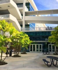 Miami-Dade College Physician Assistant Program