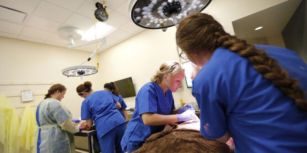 1st Class Kicks Off University of Dubuque Physician Assistant Program