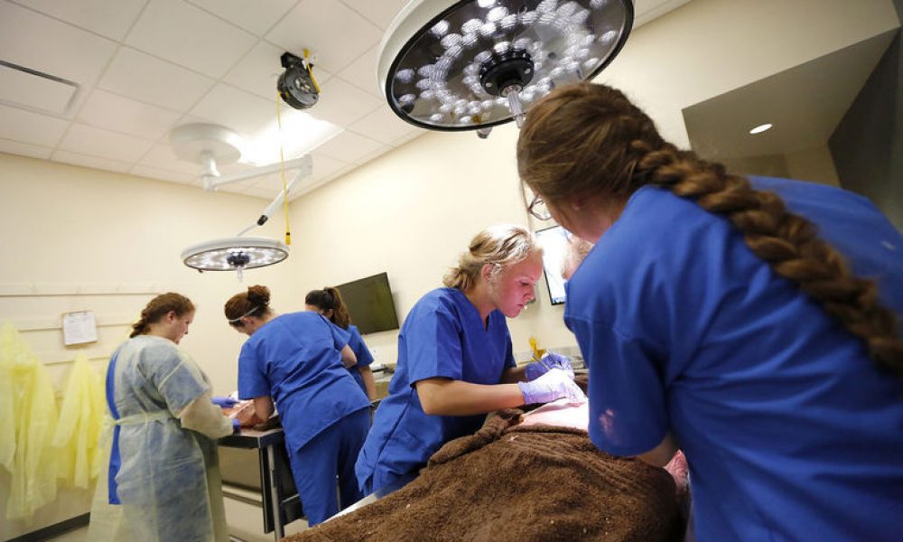 1st Class Kicks Off University of Dubuque Physician Assistant Program