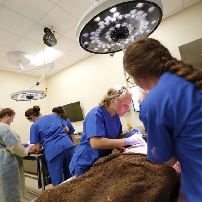 1st Class Kicks Off University of Dubuque Physician Assistant Program
