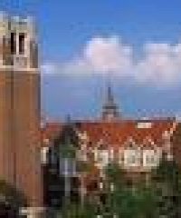 University of Florida Physician Assistant Program
