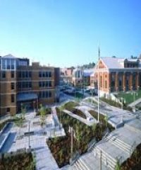 University of Washington Physician Assistant Program