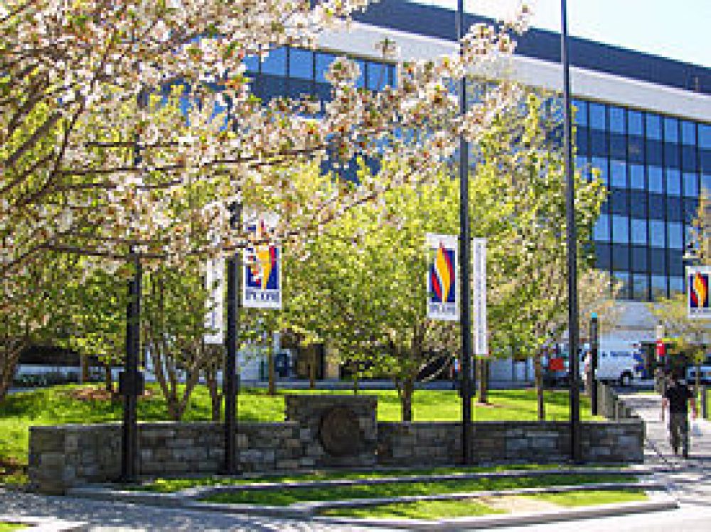 Philadelphia College of Osteopathic Physician
