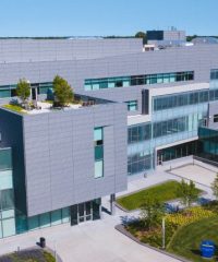 Hofstra University Physician Assistant Program