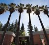 University of the Pacific Physician Assistant Program