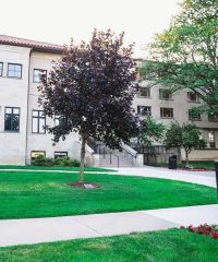 University of Detroit Mercy Physician Assistant Program