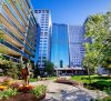 Mayo Clinic School of Health Sciences Physician Assistant Program