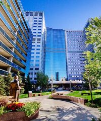 Mayo Clinic School of Health Sciences Physician Assistant Program