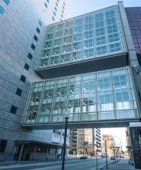 Nurse Practitioner or Physician Assistant Blood and Bone Marrow Transplant Fellowship (Minnesota)