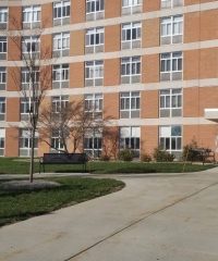 Michigan State University Physician Assistant Program