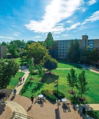 Mount St. Joseph University Physician Assistant Program