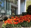 Northeastern University Physician Assistant Program