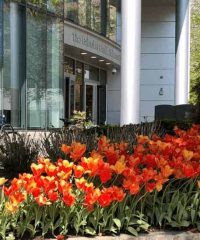 Northeastern University Physician Assistant Program