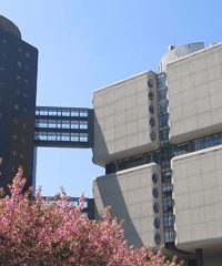 Stony Brook University Physician Assistant Program