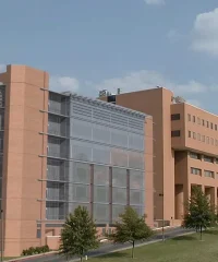 University of Arkansas Physician Assistant Program