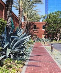 University of Southern California (LA) Physician Assistant Program