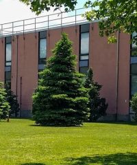 York College, CUNY Physician Assistant Program