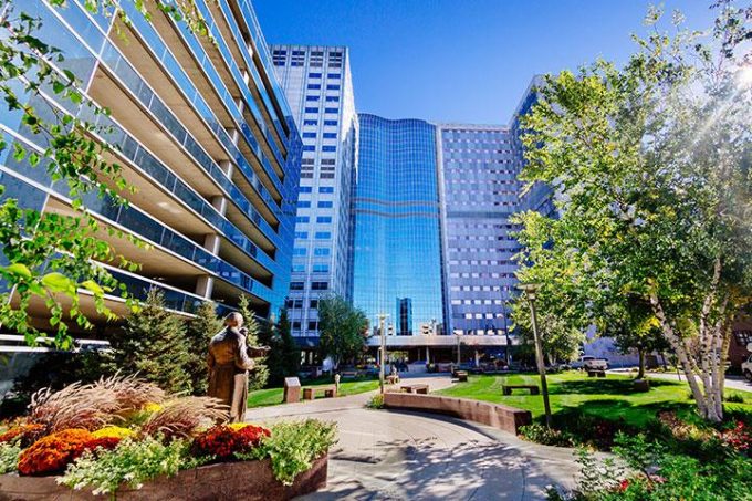Mayo Clinic School of Health Sciences Physician Assistant Program