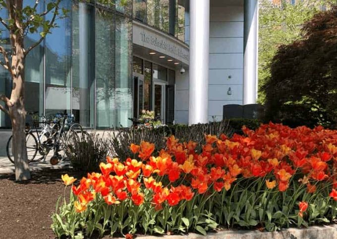 Northeastern University Physician Assistant Program